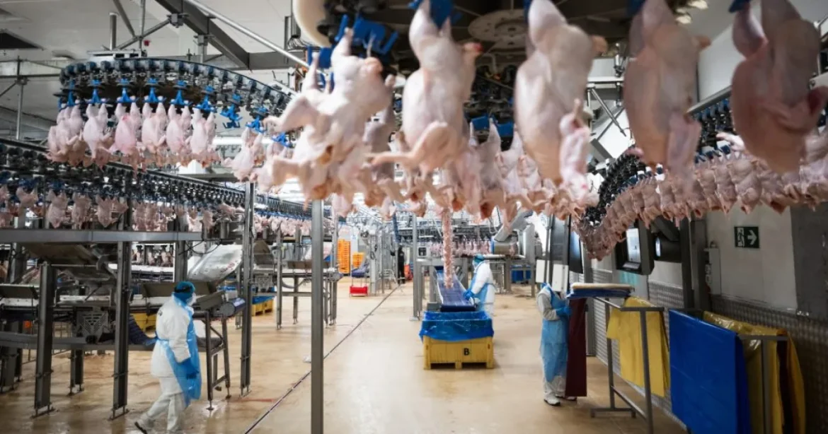 Új szabályozás: vendégmunkásokra szükség van Magyarországon?